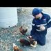 Ryan Manning - Facebook