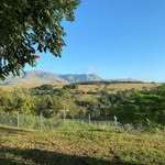 Ryan Freemantle - @ryanfreemantle4330 - Instagram