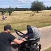 ryanfreemantle586 - @ryanfreemantle586 - TikTok