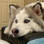 Ryan Mao - @ryaaanmmm - Instagram