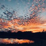 Ryan Mapes - @ryan.mapes - Instagram