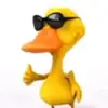 ryan.marconi2020 - @ryan.marconi2020 - TikTok