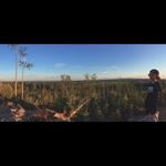 Ryan Marcoux - @marcoux996 - Instagram