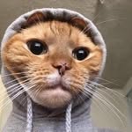 Ryan Marinov - @ryan.marinov_lmao - Instagram