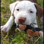 Ryan Marks - Facebook