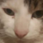 Ryan Markus - @ryan_045l - Instagram