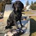 Ryan Marlin - Facebook