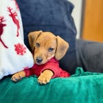 Ryan Marlowe Garza - @quennieweenie - Instagram