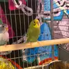 Ryan marsh - @ryan.marsh11 - TikTok