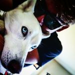 ryan martell - @ryan_martell42 - Instagram