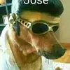 ryan massa - @ryanmassa0 - TikTok