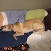 Squintseboy69 - @ryan_masters08 - TikTok