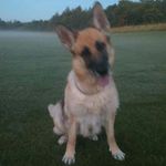 ryan mathieson - @rmathieson46505 - Instagram