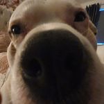 Ryan Mathieson - @rmathieson122 - Instagram