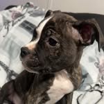Ryan Mathison - @ryanm2887 - Instagram