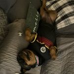 Ryan Maupin - @maupin6638 - Instagram