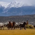 Ryan Maupin - @barelynationalgeographic - Instagram