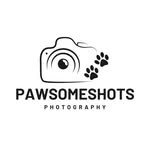Ryan McBride | Dog Photographer 🐾 - @pawsomeshots_sd - Instagram