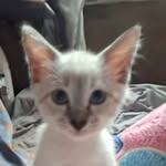Ryan McBroom - @reighyans - Instagram