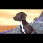Ryan Mccready - @ryan.mccready.585 - Instagram