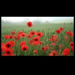 Ryan McCreight - Facebook