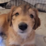 Ryan McEldowney - @ryan58783 - Instagram