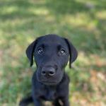 Ryan McElhaney - @ryanmcelhaney - Instagram