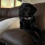 Ryan Mclean - Facebook