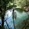 Ryan mclean - @ryan.mclean28 - TikTok