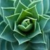 Ryan Mcneilly - Facebook