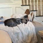 Ryan McSwain - @ryanmcswain52 - Instagram