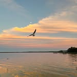 Ryan - @ryan.mcswain - Instagram