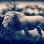RyanMcSwain - @ryanmcswain000 - Instagram