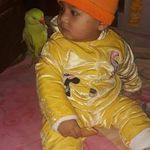 Ryan Mehta - @ryan.mehta.142 - Instagram