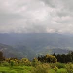 RYAN MEHTA - @ryanmehta_4108 - Instagram