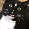 Ryan Mellon - @ryan.mellon1 - TikTok