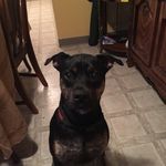 Ryan Michels - @williams3669 - Instagram