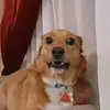 Ryan Mick - @ryan.mick2 - TikTok
