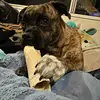 ryanmick5 - @ryan.mick40 - TikTok