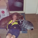 Ryan Miers - @ryanmiers25 - Instagram