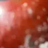 Ryan Milan - @ryan.milan5 - TikTok