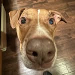 @ryan__milligan - Instagram