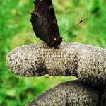 Ryan Minard - @r_minard3 - Instagram