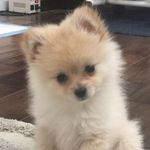 Ryan Kim - @ryanminkim - Instagram