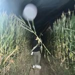 Ryan - @ryanminkin - Instagram