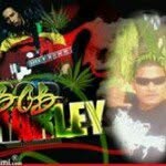Ryan Miley @gmail.com - @ryanmirey - Instagram
