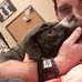 Ryan Mire - Facebook
