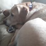 ryan moffatt - @ryanmoffatt9 - Instagram