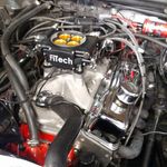 Ryan Mohr - @rmohr80 - Instagram
