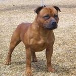 Ryan Montague - @montague9794 - Instagram